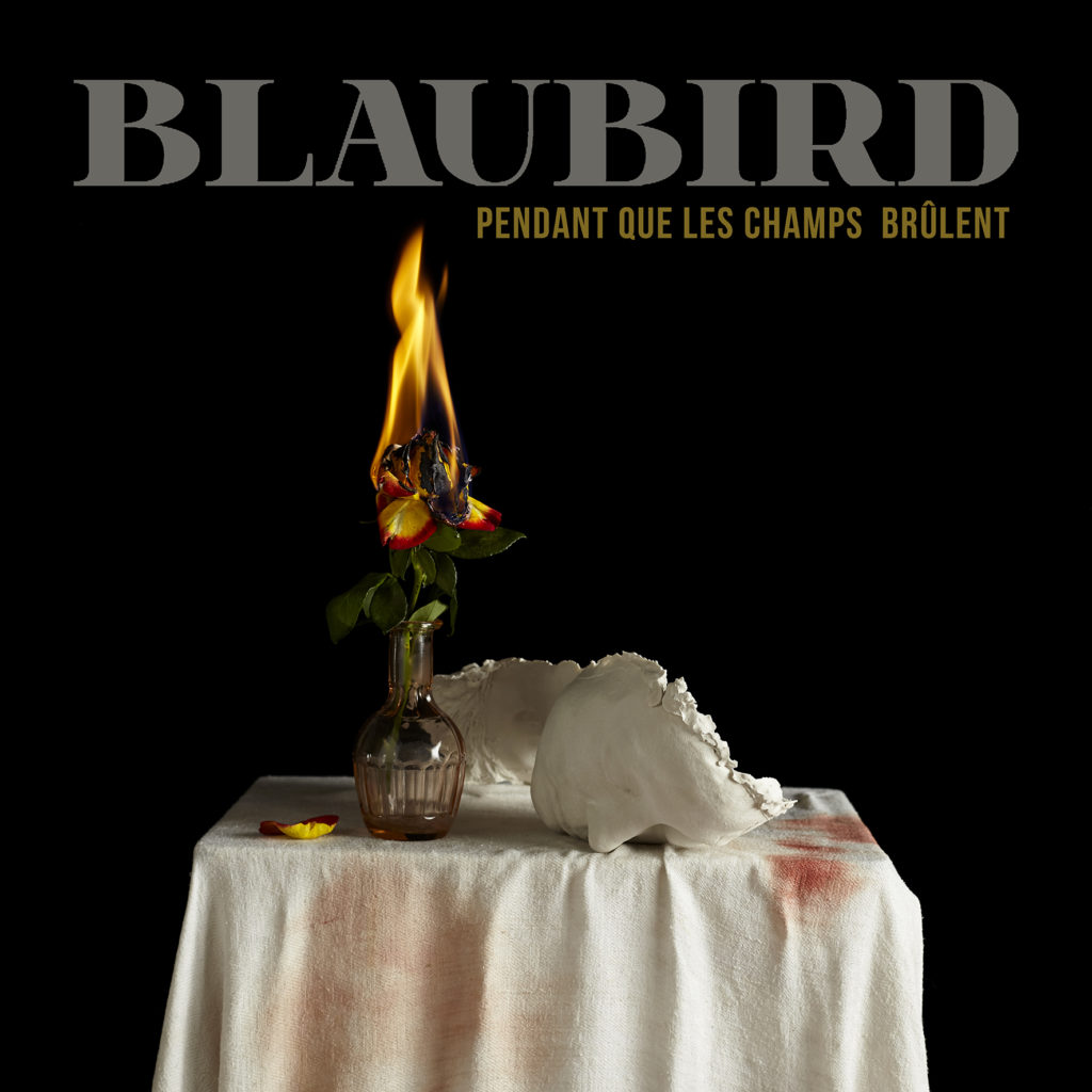 BlauBird Single